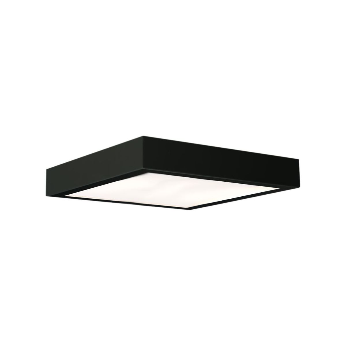 Antigo-Nomi-1151-ANT1151