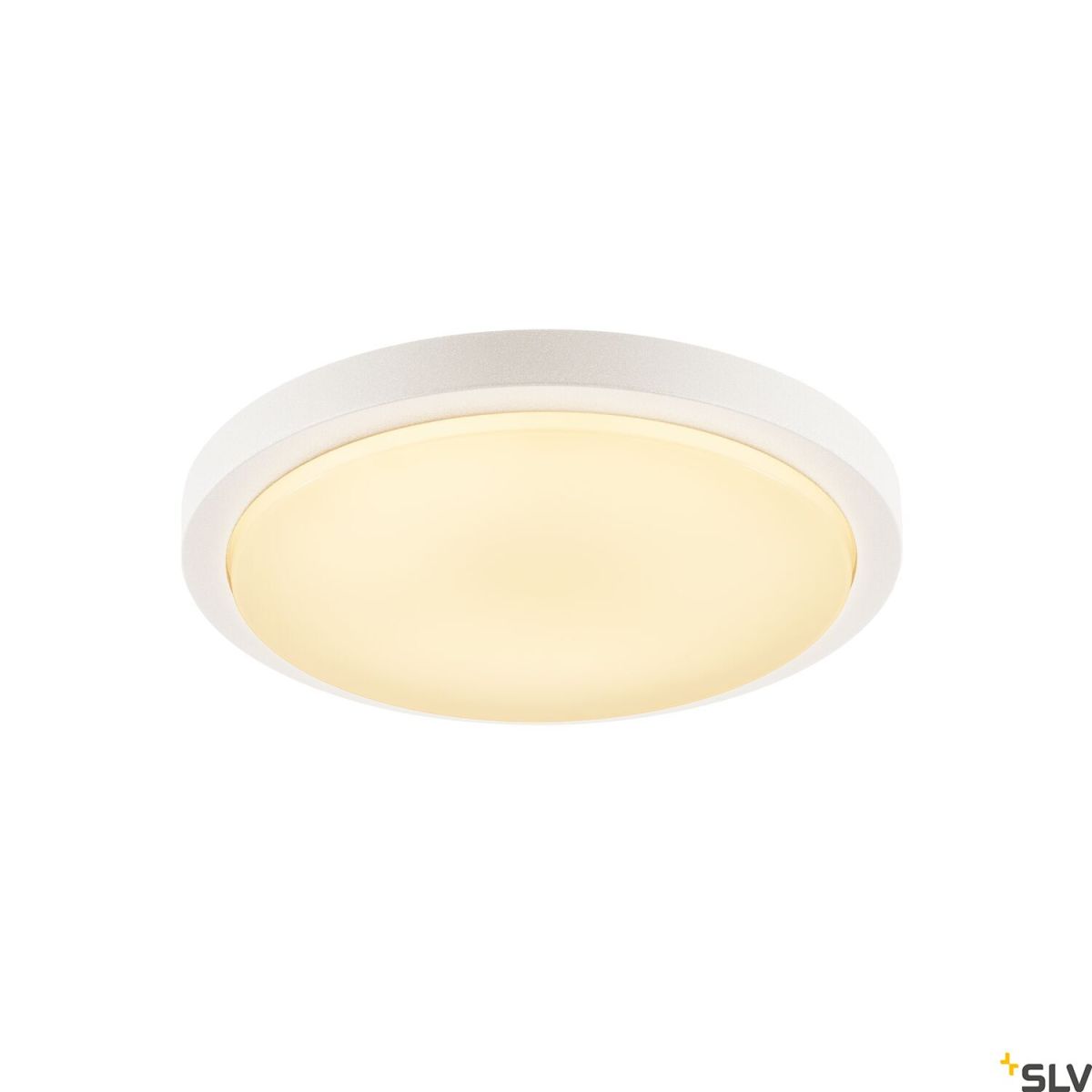 SLV-AINOS-229971-SPL229971