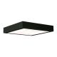 Antigo-Nomi-8450-ANT8450