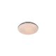 Fischer&Honsel-Faro-21117-FHL21117