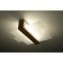 Sollux FENIKS SL.0076 Stropní lampa 2x60W/E27