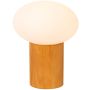 Lucide BIRTLE 05550/10/61 Stolní lampa 1x40w/e27 ip20