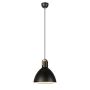 Markslojd EAGLE 106550 Závěsná lampa 1x60W/E27 IP20