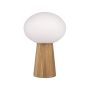 Markslojd PATER 108409 Stolní lampa 1x60W/E27 IP20