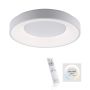 Paul Neuhaus ANIKA 14326-16 Stropní lampa 1x26,5W/LED CCT 2700K-5000K 1900LM IP20