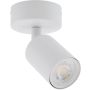 TK Lighting NEX 11368 Bodové světlo 1x10W/GU10 IP20