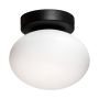 Zuma Line OMI 1188 Stropní lampa 1x5W/G9 IP20