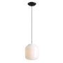 Aldex FLASK ORCHID L 8500G1_L Závěsná lampa 1x15W/E27