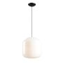 Aldex FLASK ORCHID XL 8500G1_XL Závěsná lampa 3x15W/E27
