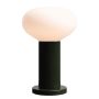 Aldex FLO MOSS S 7000B26_S Stolní lampa 1x10W/E14