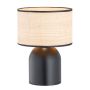 Emibig ASPEN 1324/LN1 Stolní lampa 1x15W/E27 IP20