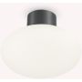 Ideal Lux CLIO 148861 Stropní lampa 1x42W/E27 ip44