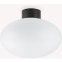 Ideal Lux CLIO 148878 Stropní lampa 1x42W/E27 ip44
