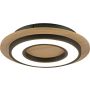 Paul Neuhaus TOLA 14560-18 Stropní lampa 1x18W/LED 3000k 2200lm ip20