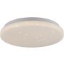 Paul Neuhaus URANUS 14275-16VE Stropní lampa 1x12W/LED 3000k 1375lm ip20