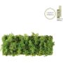 Paul Neuhaus GREEN CARL 15637-66 Nástěnná lampa 6x6,5W/LED 3000k 780lm ip20