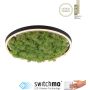 Paul Neuhaus GREEN RITUS 15391-66 Stropní lampa 1x20W/LED 3000k 630lm ip20