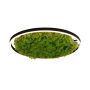 Paul Neuhaus GREEN RITUS 15392-66 Stropní lampa 1x28W/LED 3000k 960lm ip20