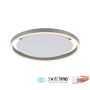Paul Neuhaus RITUS 15391-95 Stropní lampa 1x20W/LED 3000K 900LM IP20