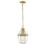 Cosmolight WHITLEY P01064AU Závěsná lampa 1x60W/E27 ip23