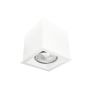 Antigo Cage 1079 1x10W/GU10 IP20