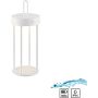 Paul Neuhaus ANSELM 19300-16 Stolní lampa 1x1,5W/LED 2700k 130lm ip44
