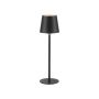 Paul Neuhaus BOTERIA 19251-18 Stolní lampa 1x2,5W/LED 3000K 180lm IP20