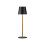 Paul Neuhaus EURIA 19250-68 Stolní lampa 1x2,5W/LED 3000K 180lm IP20