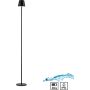 Paul Neuhaus EURIA 19252-18 Stojací lampa 1x2,5W/LED 3000k 320lm ip54