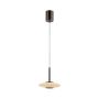 Paul Neuhaus PURE VITRUM 2053-34 Závěsná lampa 2x10W/LED 2700K 530lm IP20