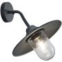 Trio BRENTA 201760142 Nástěnná lampa 1x40w/e27 ip44
