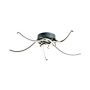Zuma Line FOCUS 20023-5CCH Stropní lampa 1x35W/LED 3000K|4000K|6000K 2300lm IP20