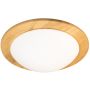 Fischer&Honsel SHINE-WOOD 21489 Stropní lampa 2x40w/e27 ip20