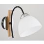 Alfa JONA 22990 Nástěnná lampa 1x60W/E27 IP20