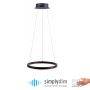 Paul Neuhaus TITUS 2381-13 Závěsná lampa 1x31W/LED ip20