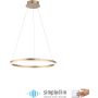 Paul Neuhaus TITUS 2382-60 Závěsná lampa 1x44W/LED 3000k 5250lm ip20
