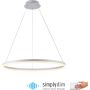 Paul Neuhaus TITUS 2383-16 Závěsná lampa 1x61W/LED 3000k 6600lm ip20