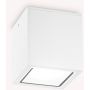 Ideal Lux TECHO 251523 Nástěnné osvětlení 1x20W/GU10 ip54