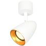 Italux Tino SPL-36748-1R-WH-GD Bodové světlo 1x10W/GU10 IP20