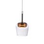 Paul Neuhaus Q-KON 2741-20 Závěsná lampa 1x9W/LED 2700K-5000K 300lm IP20
