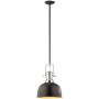 Italux Laredo MA04431CB-001 Závěsná lampa 1x60W/E27 IP20