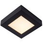 Lucide BRICE-LED 28117/17/30 Stropní lampa 1x15w/led 3000k 800lm ip44