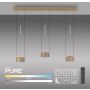 Paul Neuhaus PURE CLIPSE 2473-97 Závěsná lampa 6x5W/LED 2200-5000k 670lm ip20