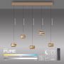 Paul Neuhaus PURE FALLING RINGS 2504-97 Závěsná lampa 5x8W/LED 2200-5000k 1500lm ip20