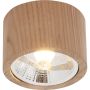Zuma Line OAK 3010103 Nástěnné osvětlení 1x15W/GU10 Es111 IP20