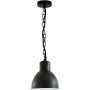 Polux ARNE 311924 Závěsná lampa 1x10W/E27 IP44