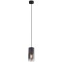 Trio ROBIN 310600132 Závěsná lampa 1x28w/e27 ip20