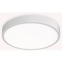 Ideal Lux RAY 327693 Stropní lampa 1x44W/LED ip44