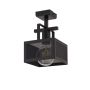 Sigma Lighting ALBERT 32178 Stropní lampa 1x60W/E27