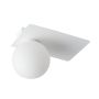 Sigma Lighting ARGON 33272 Stropní lampa 1x12W/G9